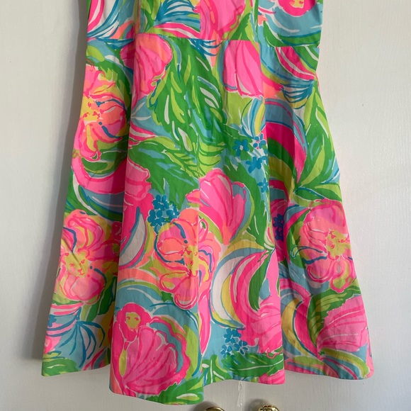 Lilly Pulitzer Dress - Picture 3 of 7